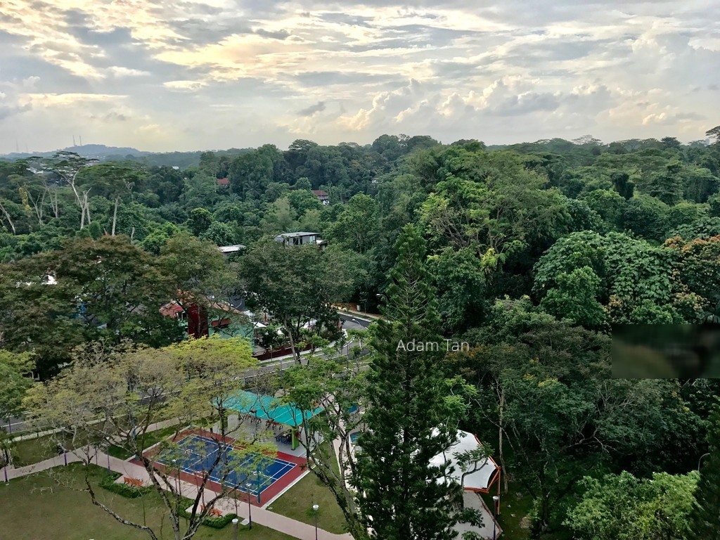 Goldhill Towers (D11), Apartment #151631862